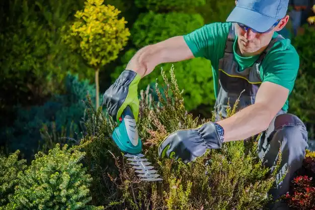 landscaping services Bratenahl